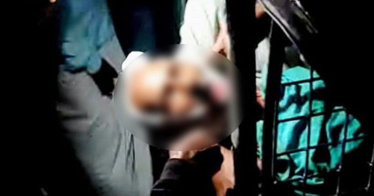 চট্টগ্রামে গৃহকর্তাকে খুন করে গরু লুট