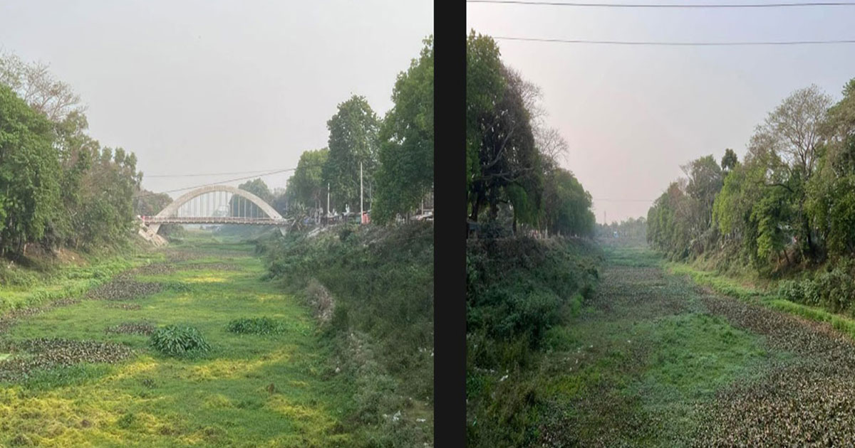 পানিশূন্য ব্রহ্মপুত্র নদ এখন মশার প্রজনন কেন্দ্র