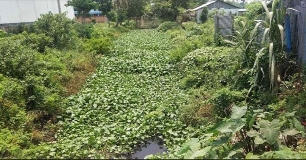 দখলদারদের কবলে জামালপুরের গবাখালী