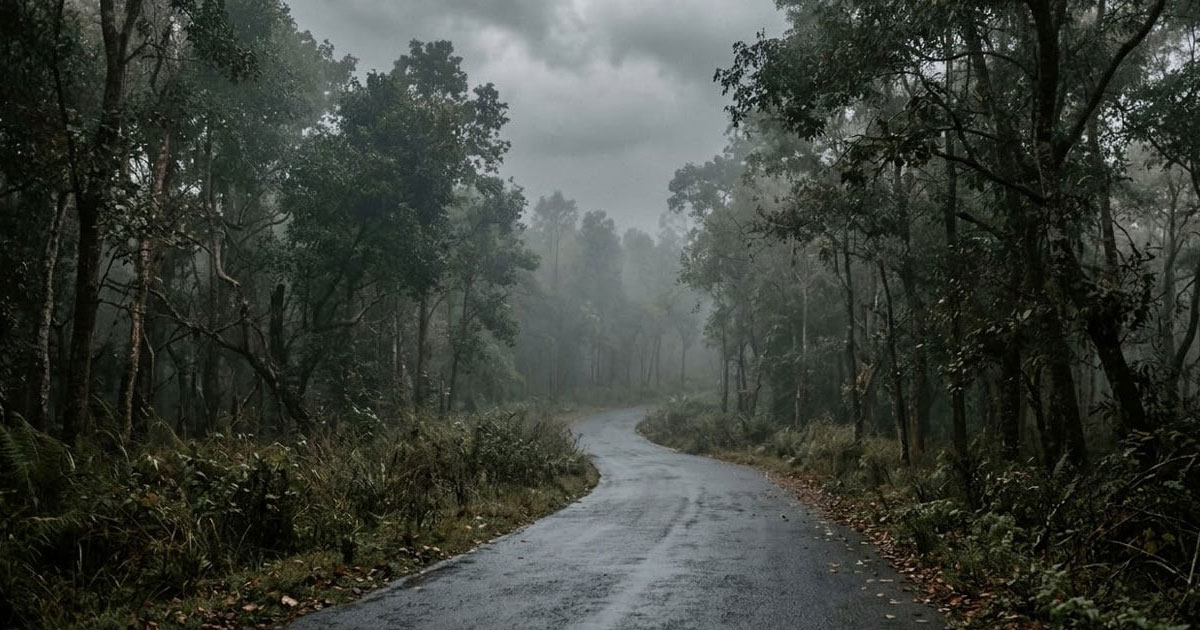 ঈদের কাপড় নিয়ে বাড়ি ফিরতে পারল না সুরাইয়া