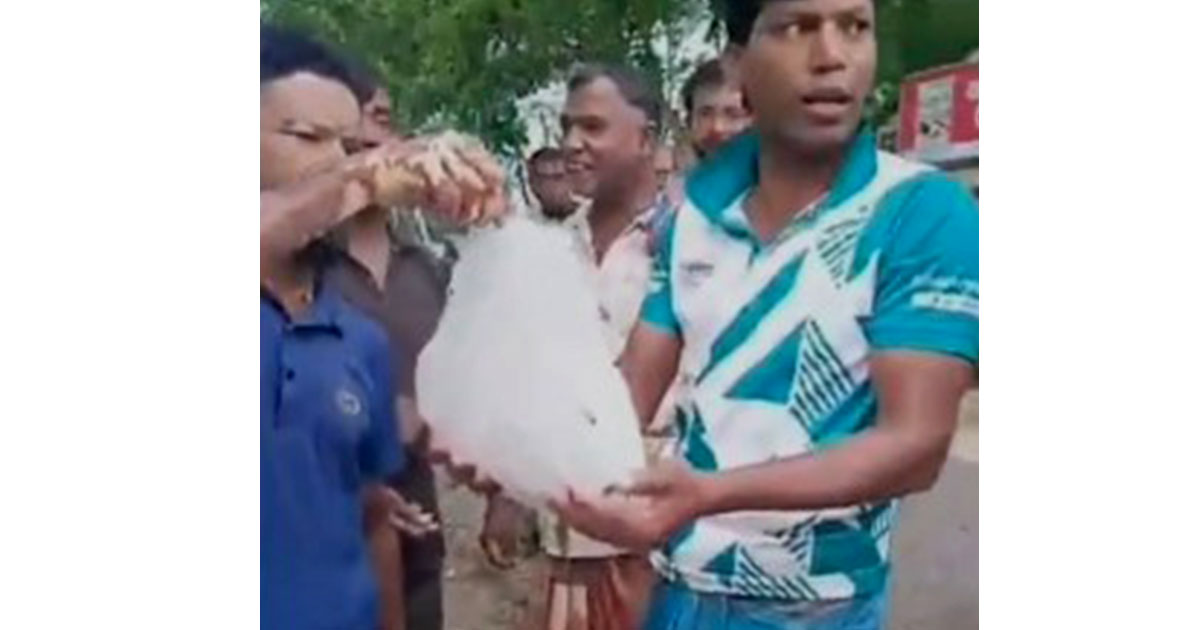 ঝিনাইদহের কালীগঞ্জে  পাওয়া গেলো  বিশাল শিলাখণ্ড