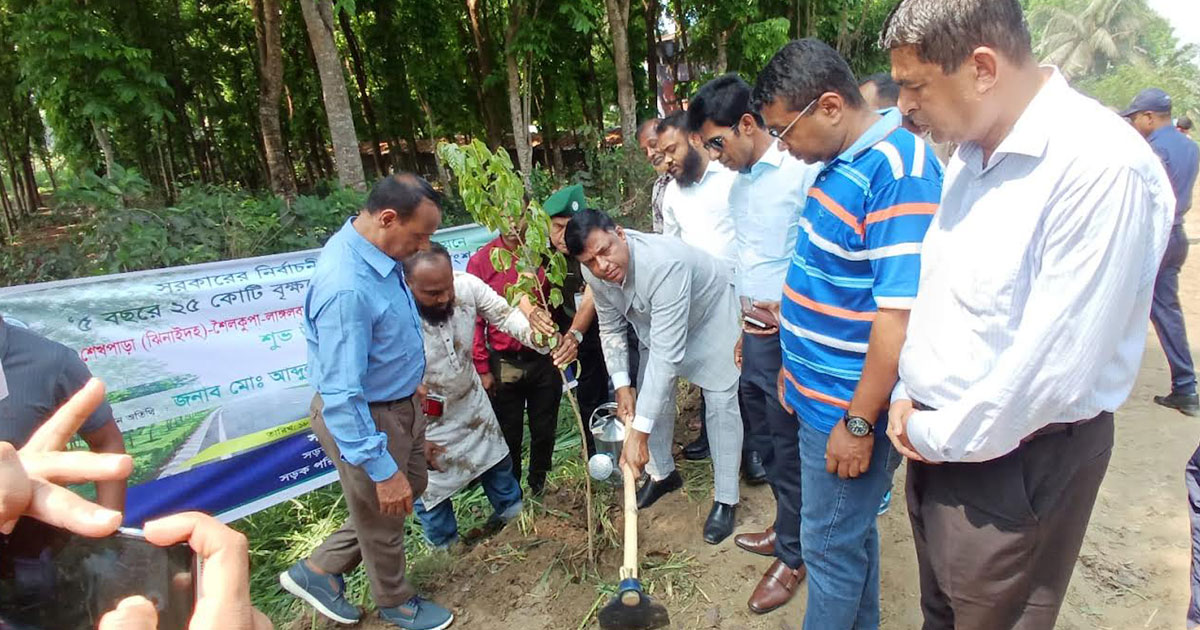 ঝিনাইদহের ২৬ কিলোমিটার সড়কে বৃক্ষরোপণ কর্মসূচির উদ্বোধন