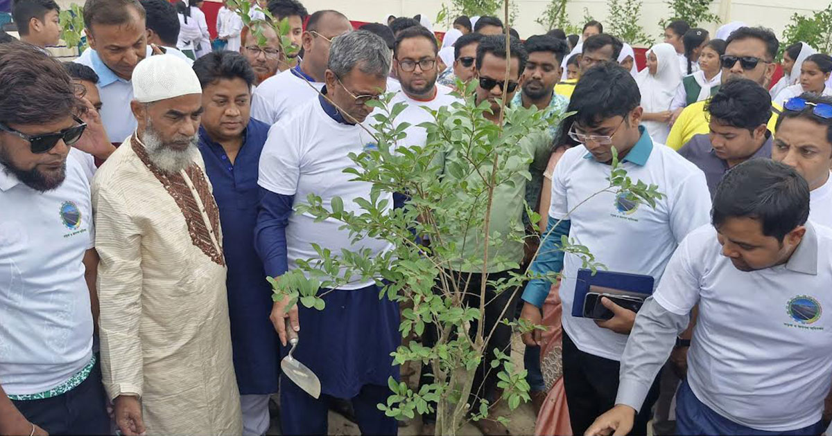 চাঁদপুর সড়ক বিভাগের উদ্যোগে ২ হাজার বৃক্ষরোপণ কর্মসূচির উদ্বোধন