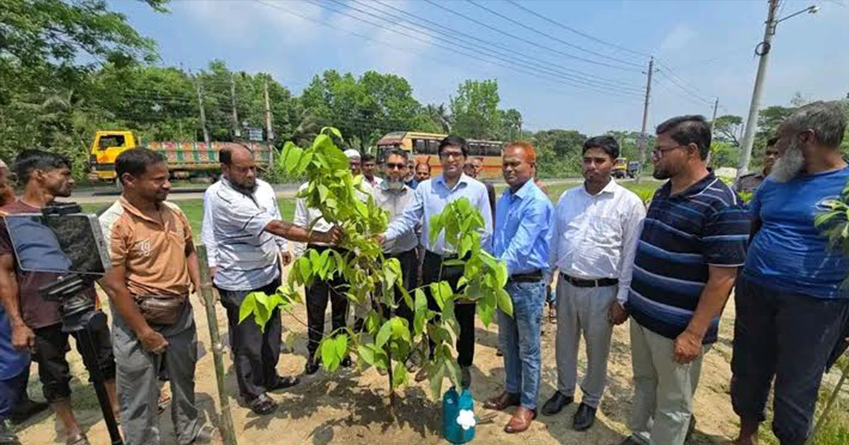 ফরিদপুর সড়ক বিভাগের উদ্যোগে বৃক্ষরোপণ অভিযান শুরু