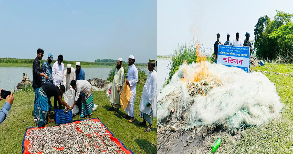 হাইমচরে দেড় লাখ মিটার জাল সহ ১৩০ কেজি মাছ জব্দ