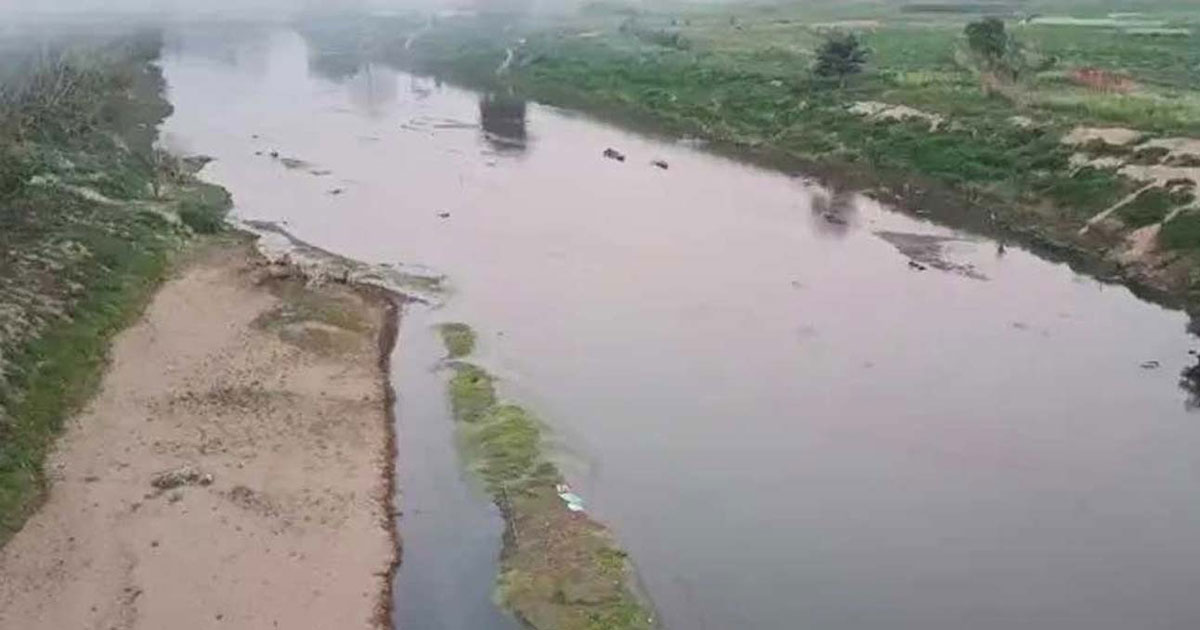 বাংলাদেশ সীমান্তবর্তী নদীতে সাপ-কুমির ছাড়ার চিন্তা বিএসএফের