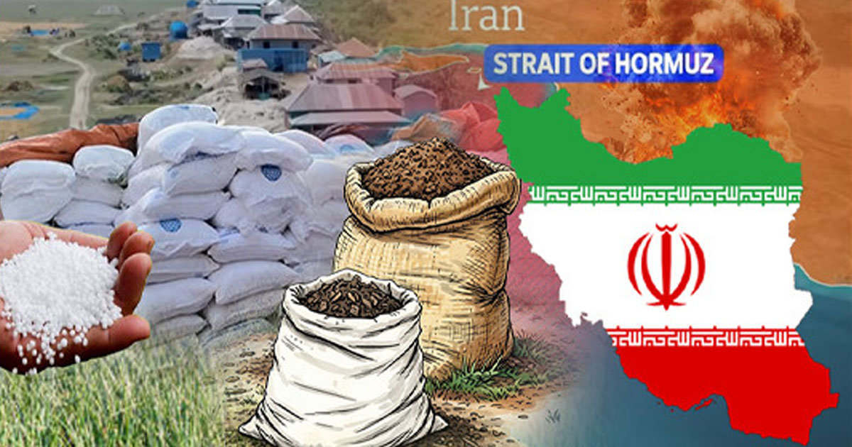 ইরান যুদ্ধের প্রভাবে বিশ্বজুড়ে খাদ্যের দাম বাড়ছে, জাতিসংঘের সতর্কতা