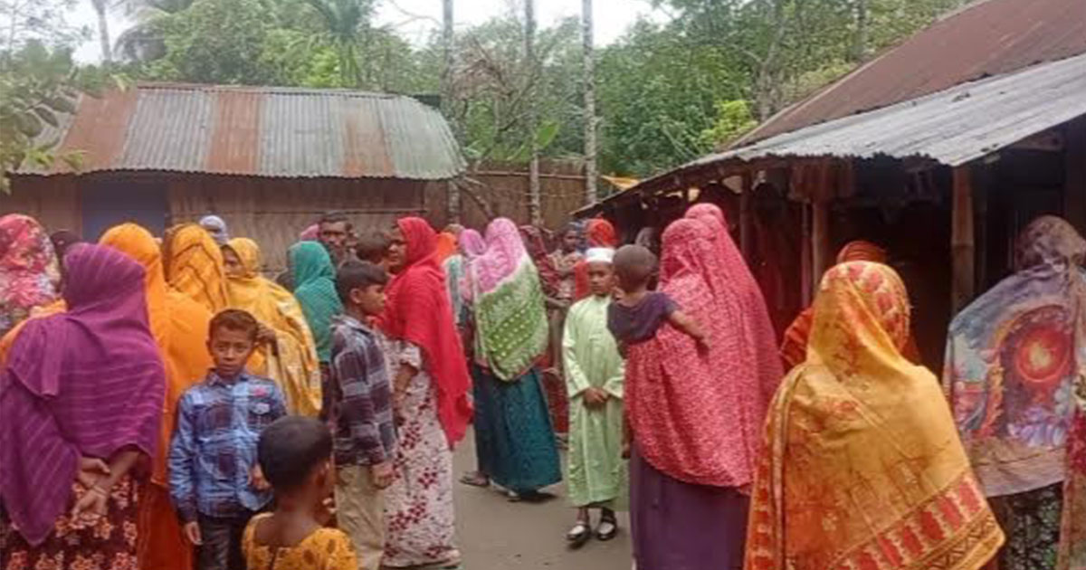 শিশুটি অতিরিক্ত কান্না করতো,  অতিষ্ট হয়ে হত্যা করে মা