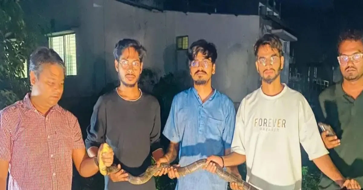 চবিতে মিলল পৃথিবীর দীর্ঘতম বিষাক্ত সাপ বিষাক্ত ‘কিং কোবরা’