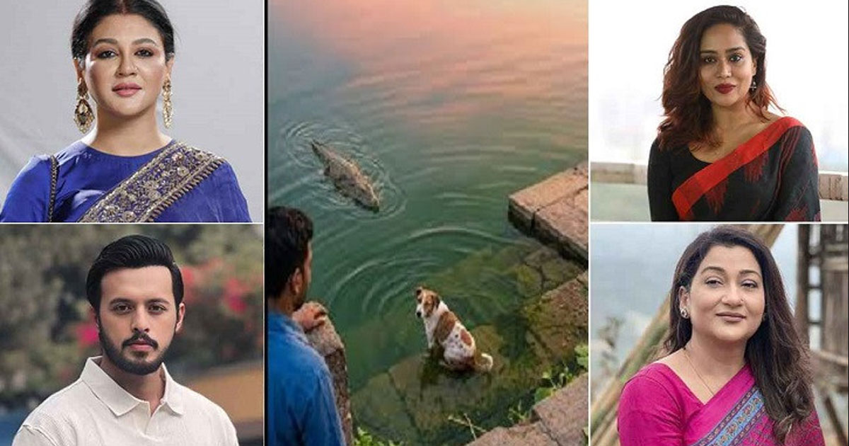 কুমিরের পানিতে জীবন্ত কুকুরকে ফেলা, তারকাদের ক্ষোভ