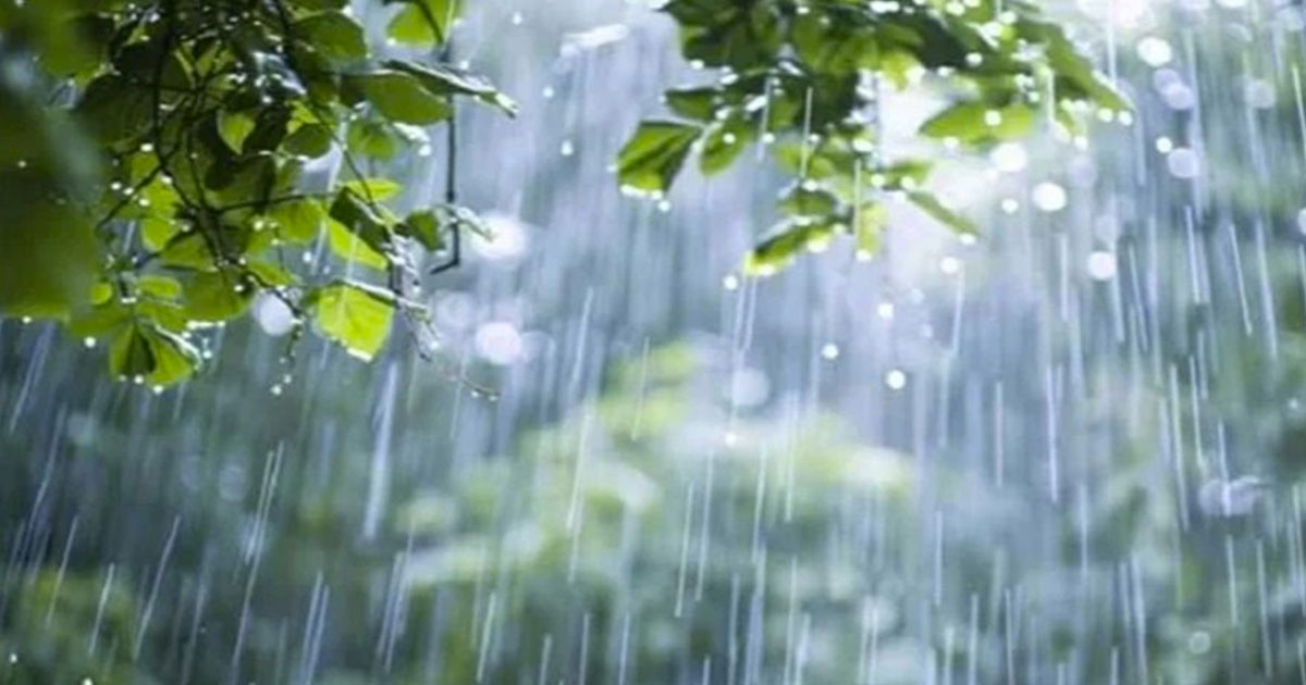 একটানা ৫ দিন বৃষ্টির পূর্বাভাস
