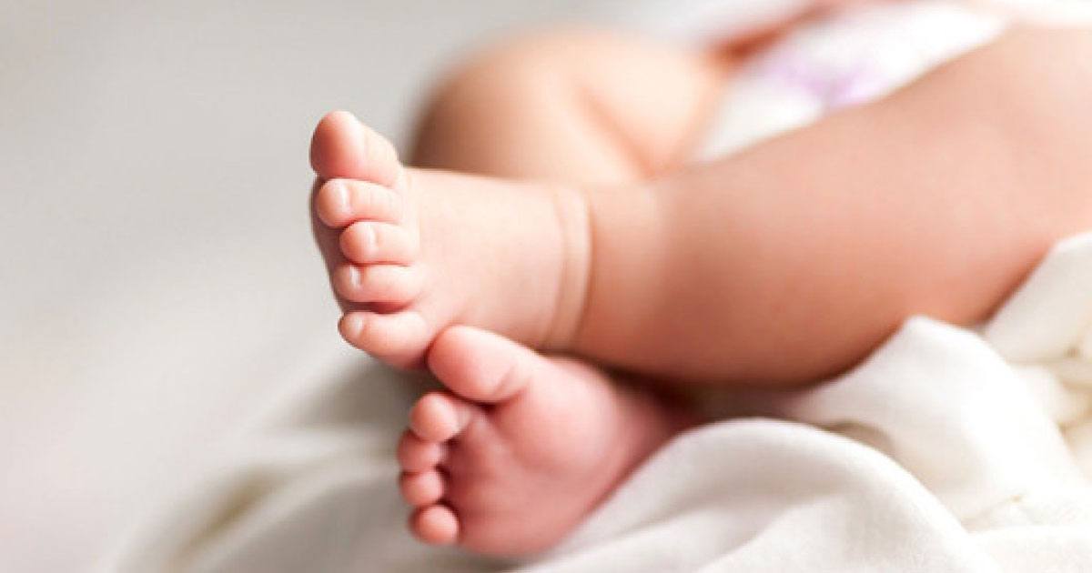 সিলেটে কার্টন থেকে নবজাতকের মরদেহ উদ্ধার