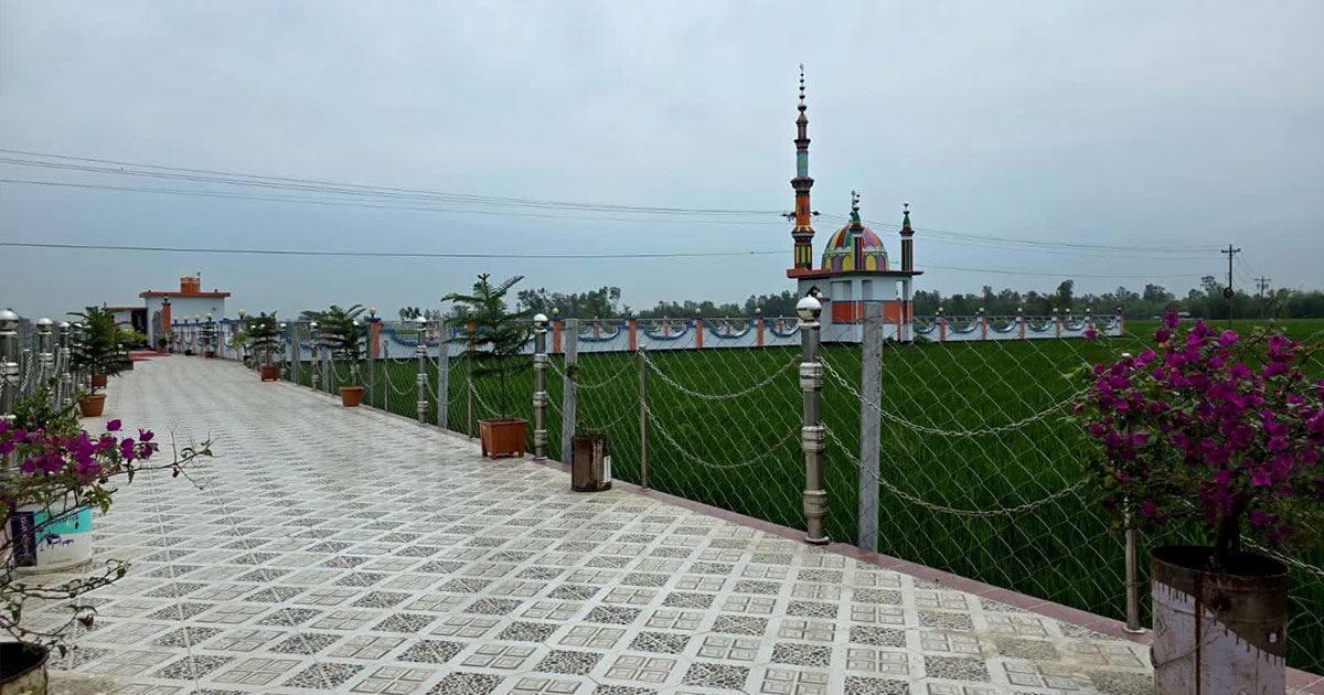 ধানক্ষেতের মাঝে দৃষ্টিনন্দন ঈদগাঁ