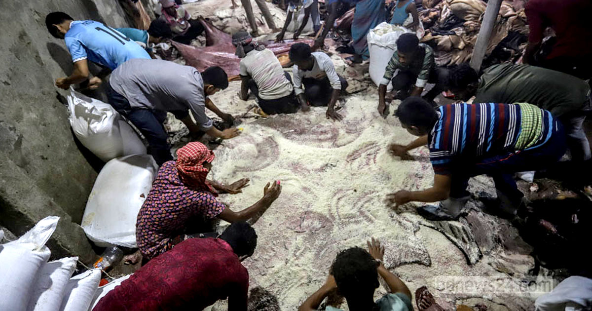 চামড়া সংরক্ষণে বিনা মূল্যে লবণ দেবে সরকার