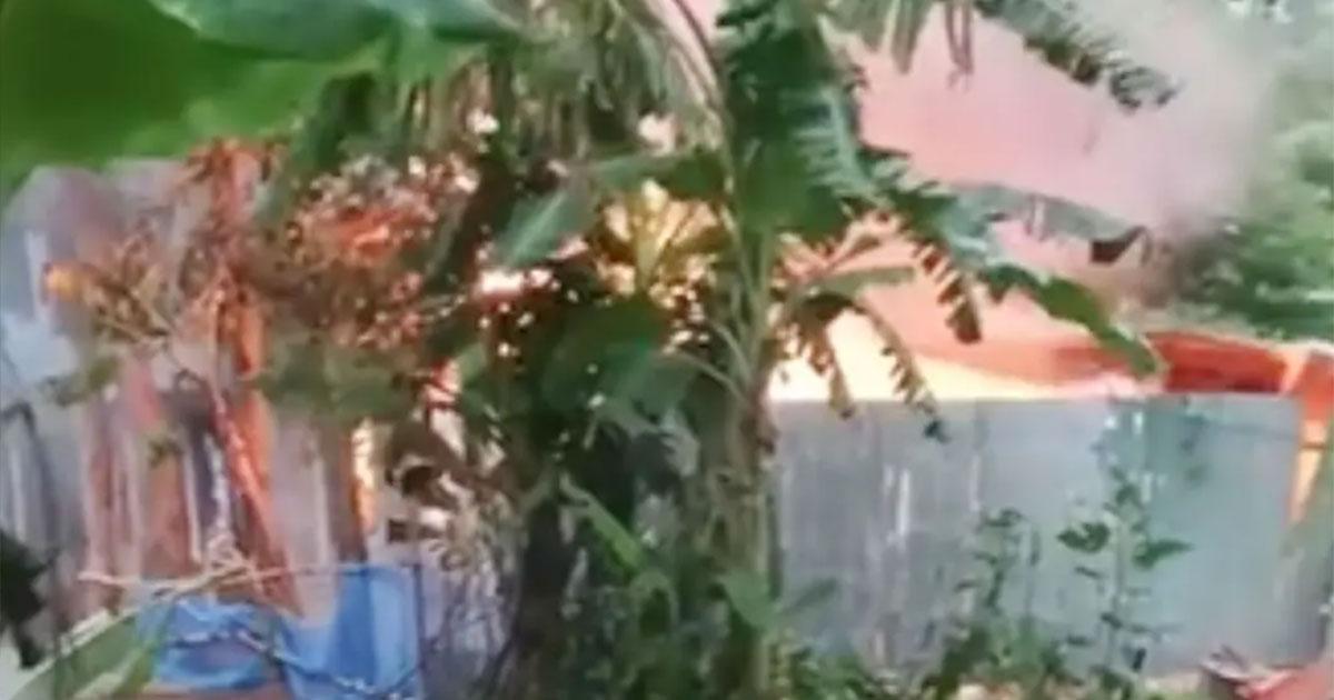 কিশোরী ধর্ষণ ও হত্যা মামলার আসামিদের বাড়িতে আগুন, নিহত ৩
