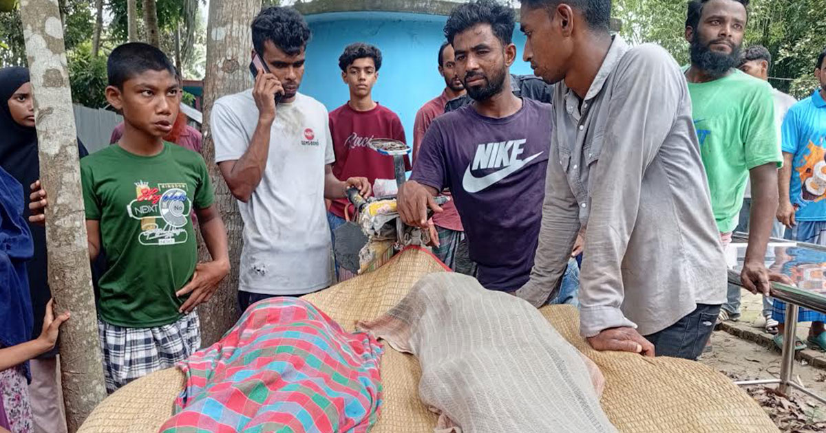 নড়াইলে পুকুরের পানিতে ডুবে আপন দুই ভাইয়ের মৃত্যু