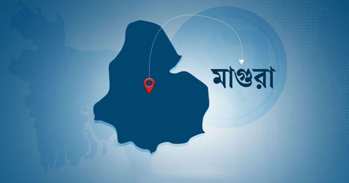 প্রবাসীর স্ত্রীকে আহত করে চেইন ছিনতাই