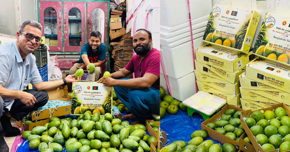 রংপুরের হাড়িভাঙা আম এবার আমিরাতের রাজপরিবারের টেবিলে