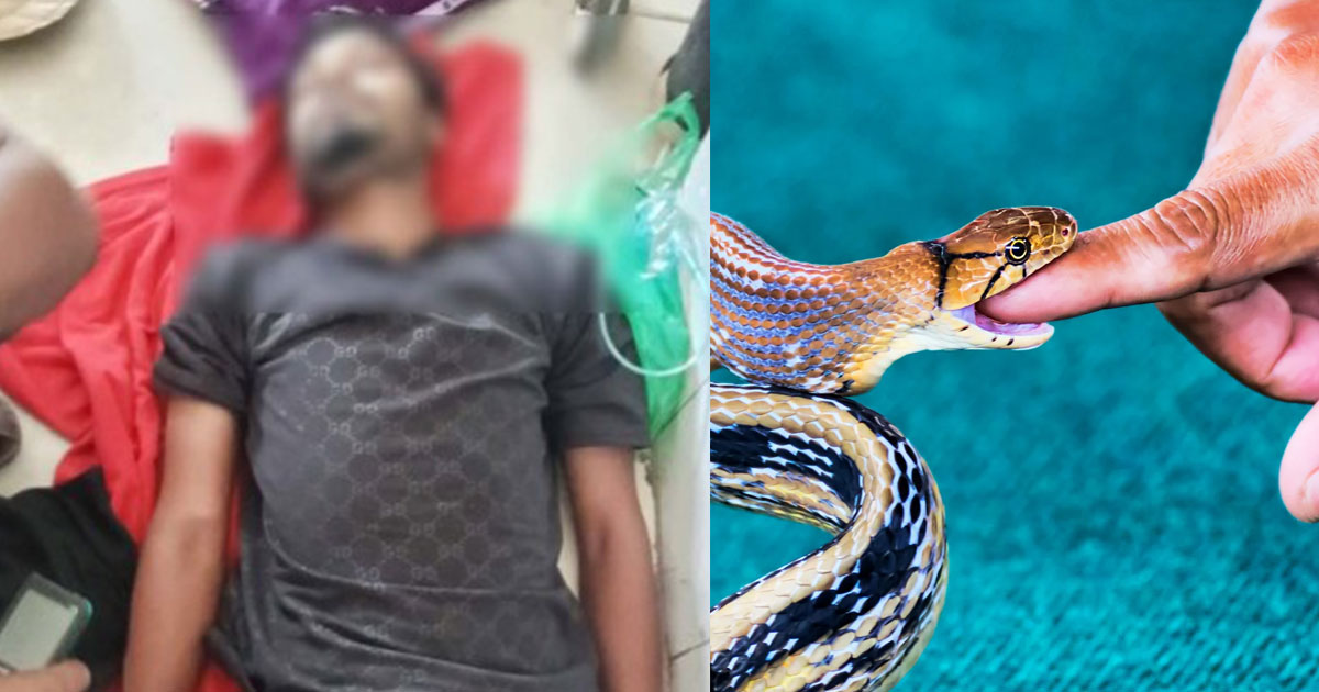 যশোরে সাপের কামড়ে যুবকের মৃত্যু