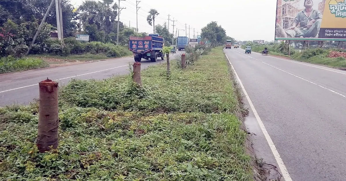 রাতের আঁধারে কেটে নিল সড়ক বিভাজকের গাছ