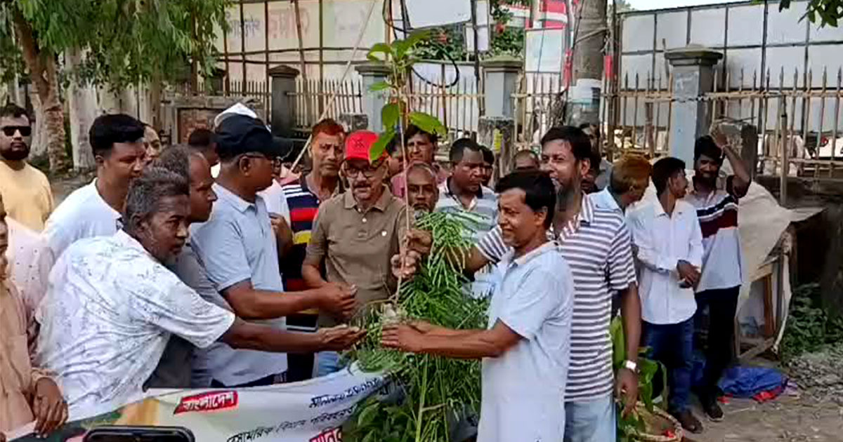 মানিকগঞ্জ পৌরসভার ৯ ওয়ার্ডে পরিচ্ছন্নতা ও বৃক্ষ বিতরণ কর্মসূচি