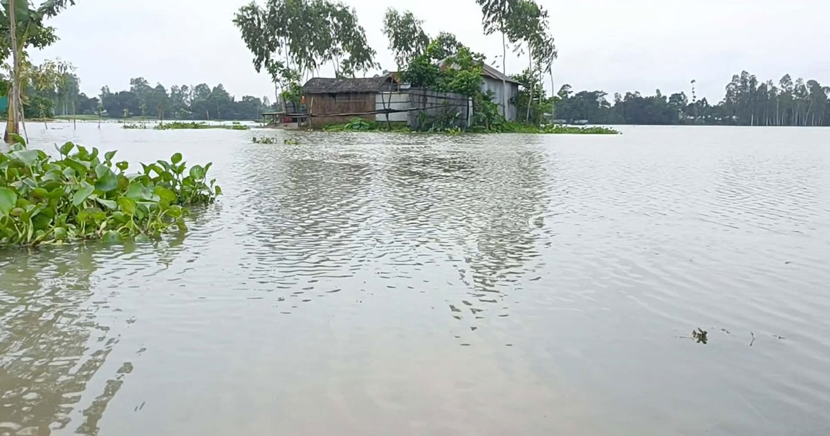 বানের পানিতে প্লাবিত কুড়িগ্রামের নিম্নাঞ্চল, পানিবন্দী প্রায় ১০ হাজার মানুষ