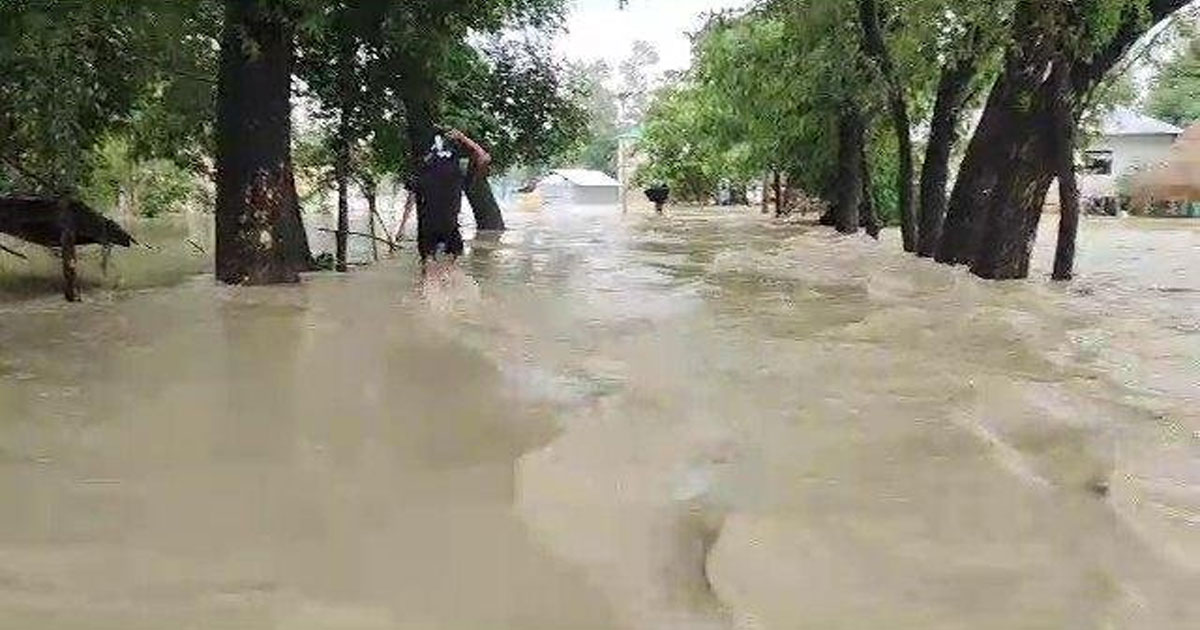 জুলাই-আগস্টে দেশে বন্যার আশঙ্কা রয়েছে : এফএফডব্লিউসি