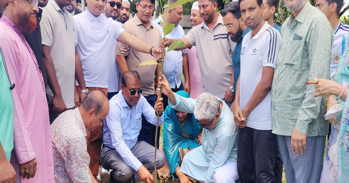 বগুড়ায় টিএমএসএস মাদ্রাসায় বৃক্ষরোপণ কর্মসূচি উদ্বোধন