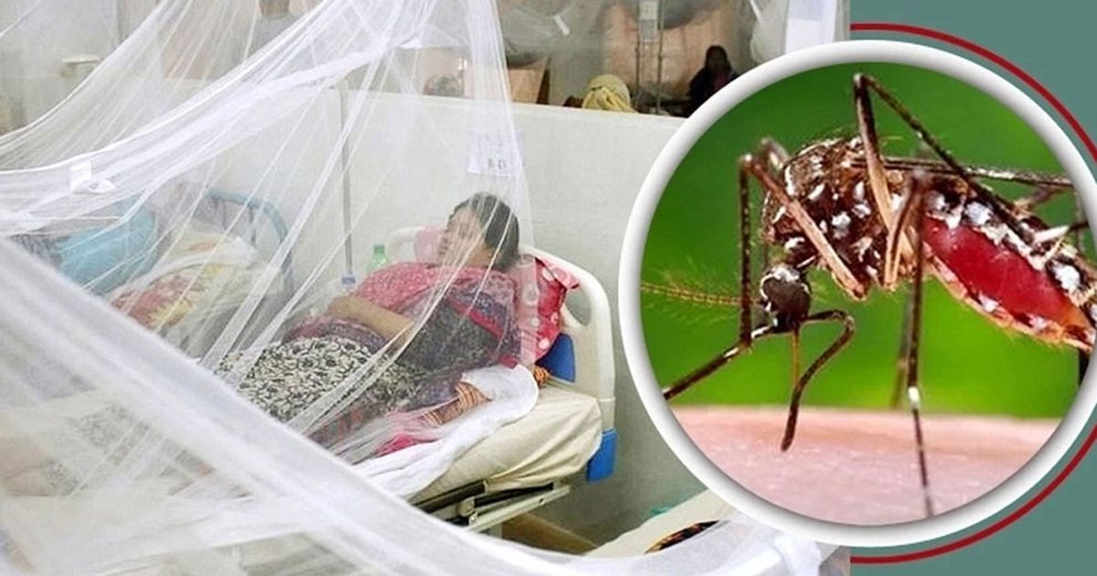 ডেঙ্গুতে একদিনে ৩ জনের মৃত্যু