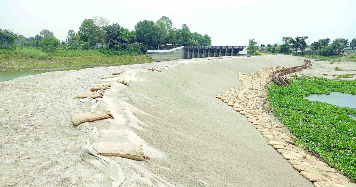 রাউতারা রিং বাঁধে প্রতি বছর কোটি কোটি টাকার অপচয়, স্থায়ী সমাধানের অপেক্ষায় চলনবিলের কৃষক