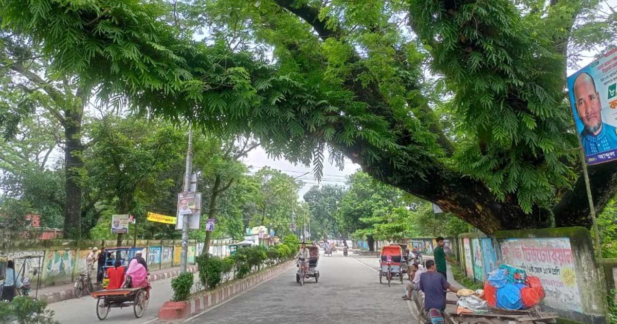 কেটে ফেলা হবে ৩৩টি শতবর্ষী গাছ