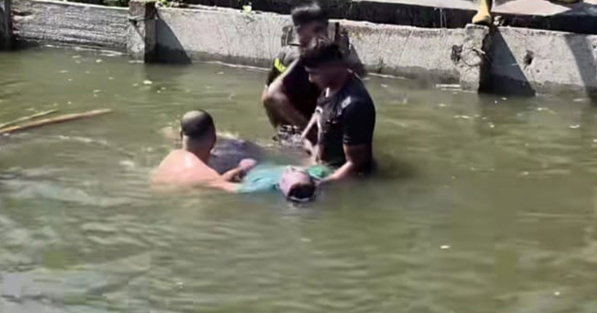 কুষ্টিয়া ডি সি পার্কের পুকুরে গোসলে নেমে কলেজ ছাত্রের মৃত্যু
