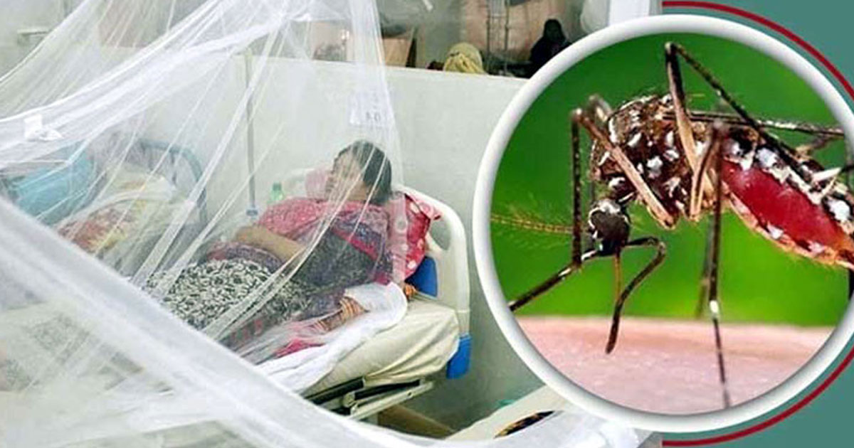 ডেঙ্গুতে তিনজনের মৃত্যু, হাসপাতালে ভর্তি পাঁচ শতাধিক