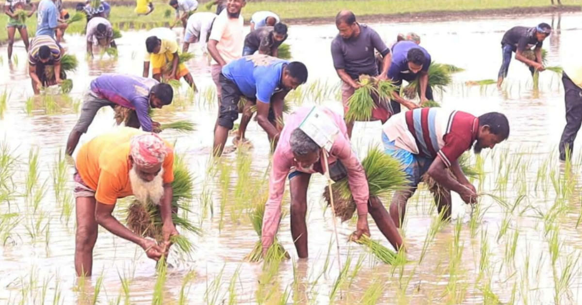 নন্দীগ্রামে পীরপাল নিয়ে উত্তেজনা, আদালতে পাল্টাপাল্টি মামলা