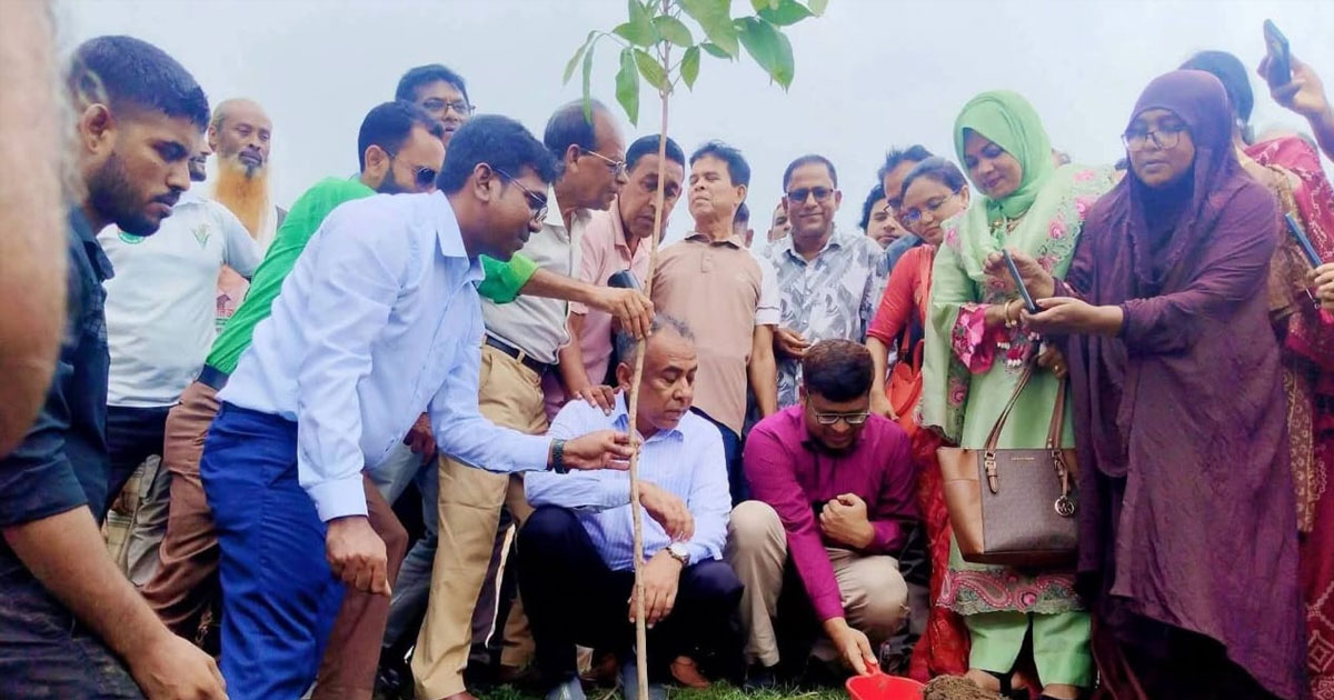 চাটমোহরে বিএমডিএর বৃক্ষরোপণ কর্মসূচির উদ্বোধন