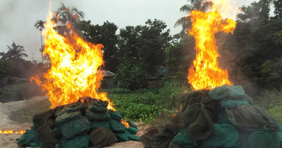 কালিহাতীতে ১৩ লাখ টাকার জাল পুড়িয়ে ধ্বংস