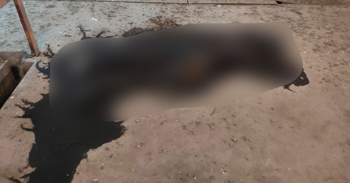 ফতুল্লায় বন্ধ গোডাউন থেকে গলিত লাশ উদ্ধার, আটক ২