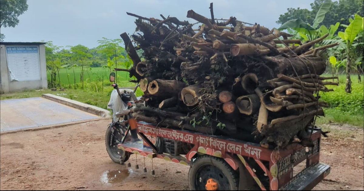 ঝিনাইদহ রেশম উন্নয়ন বোর্ডের খড়ি গোপনে বিক্রয়ের অভিযোগ