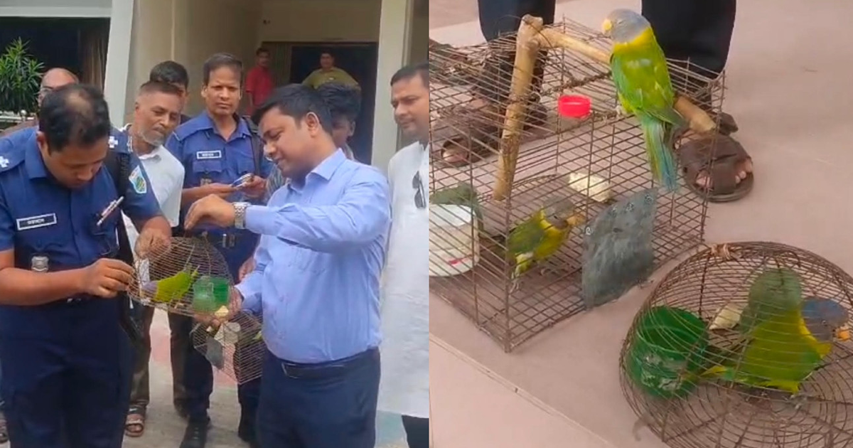 শিকারির জরিমানা, উড়িয়ে দেওয়া হলো টিয়াপাখি