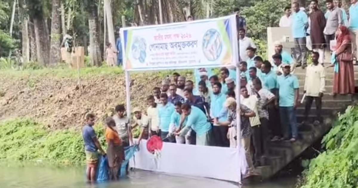জীবননগরে জাতীয় মৎস্য দিবস পালন