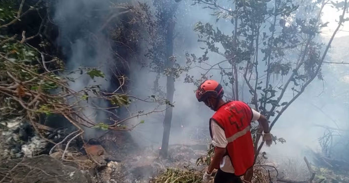 কেনিয়ায় হেলিকপ্টার দুর্ঘটনায় পাঁচ আমেরিকান-ইকুয়েডরের গোয়েন্দা প্রধান নিহত