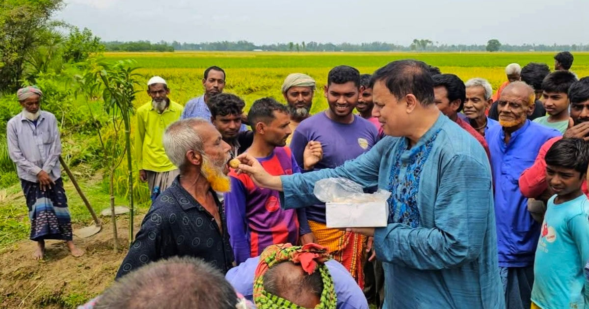 দুই উপজেলার উন্নয়নে গতি, বদলেছে গ্রামীণ জনপদ