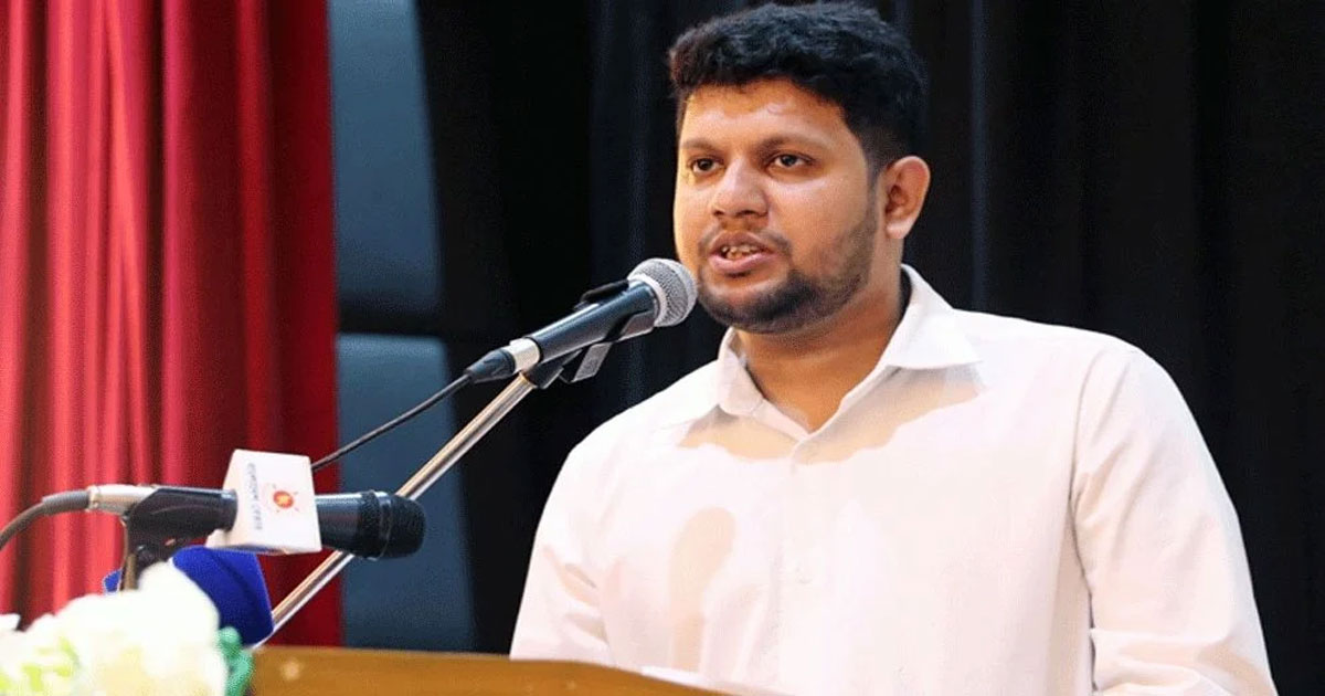 দেশে আগামী কয়েক বছর স্থিতিশীলতা দরকার: মাহফুজ আলম