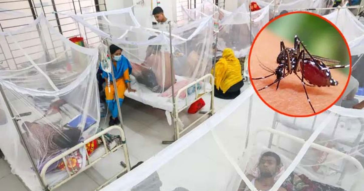 ডেঙ্গুতে আরও ৪ জনের মৃত্যু, হাসপাতালে ভর্তি ১২৩৩