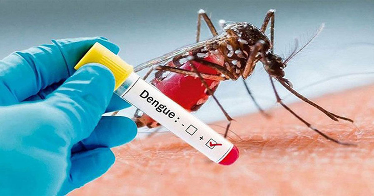 ডেঙ্গুতে ৯ জনের মৃত্যু, হাসপাতালে ভর্তি ১৫৭১