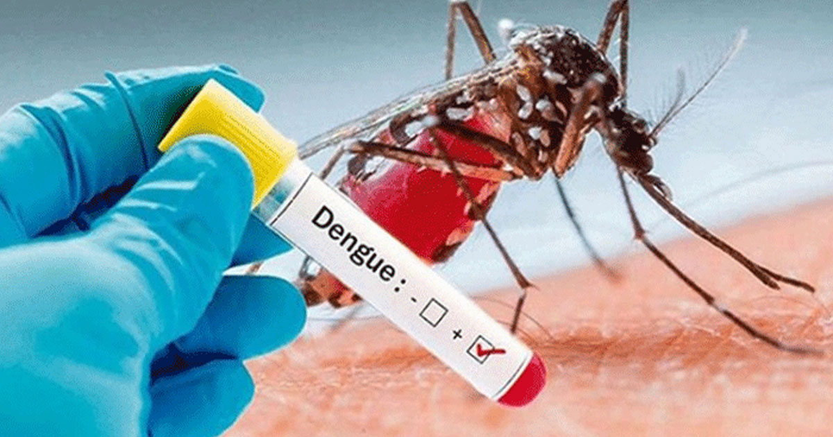 ডেঙ্গুতে আরও ৭ জনের মৃত্যু, আক্রান্ত ১৫৯৩ জন