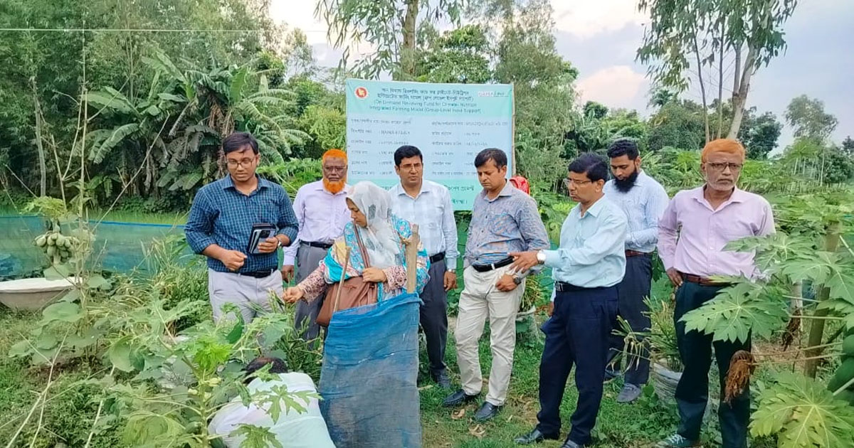 গাইবান্ধায় ‘ক্লাইমেট নিউট্রিশন ইন্টেগ্রেটেড ফার্মিং মডেল’ পরিদর্শনে অতিরিক্ত পরিচালক