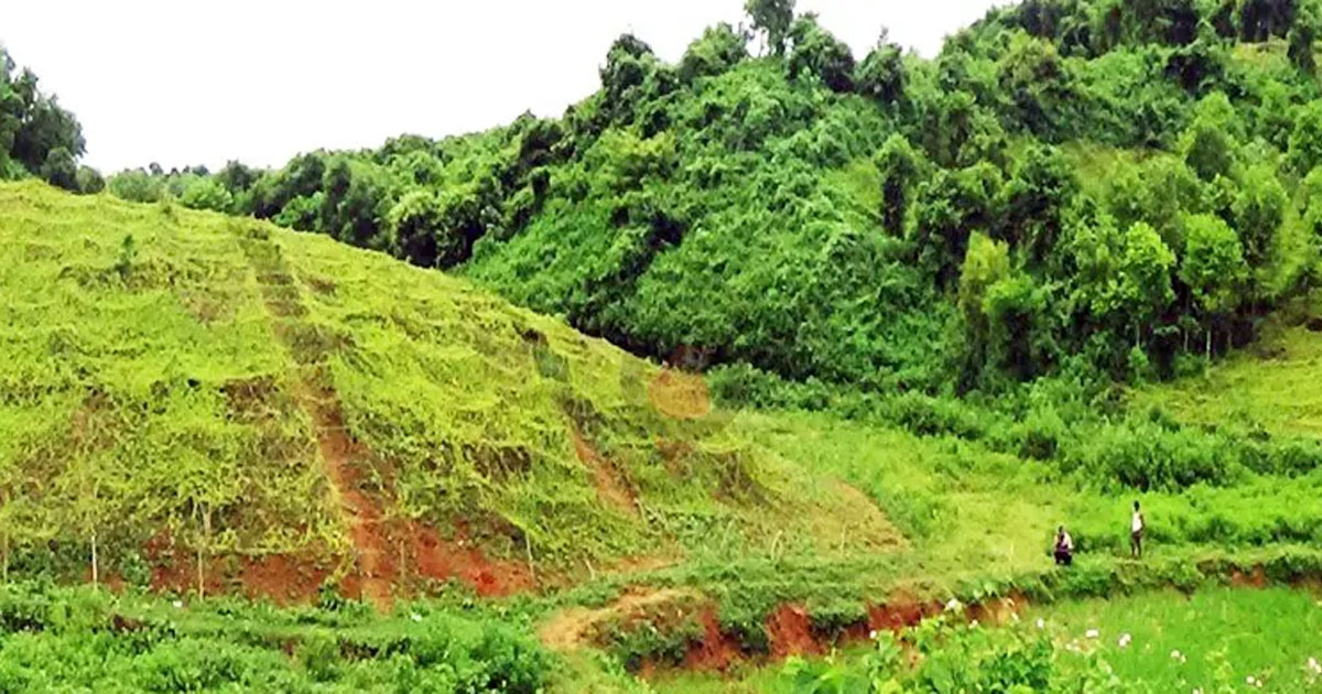শেরপুরে গোপালপুর বিটে বনভূমি দখল ও গাছ কাটার অভিযোগ
