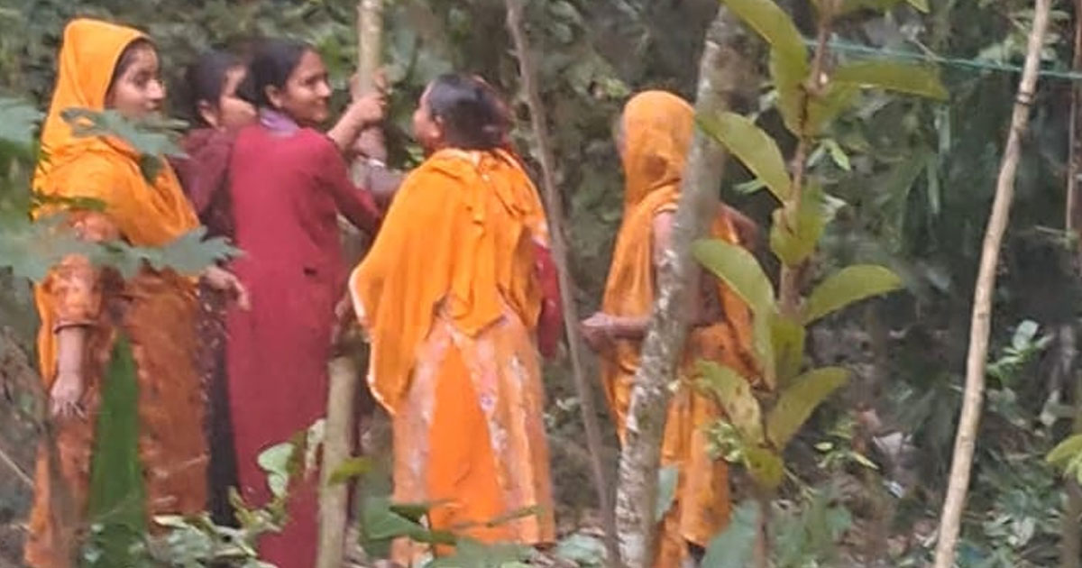 আদালত অমান্য করে গাছ কাটার অভিযোগ, জমি দখলের চেষ্টা