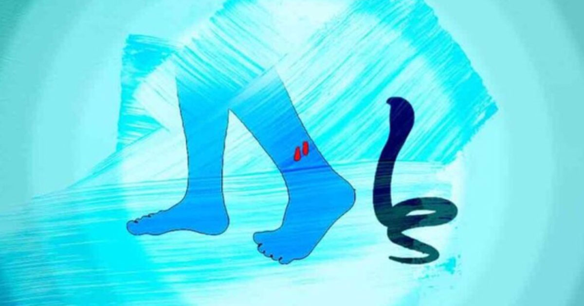 ঠাকুরগাঁওয়ে সাপের কামড়ে বৃদ্ধার মৃত্যু
